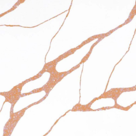 CALACATTA GOLD - SK1006
