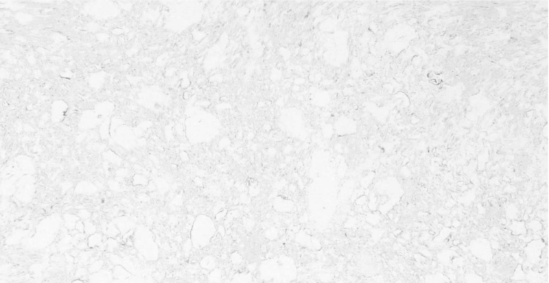CARRARA REGULAR - SK1027