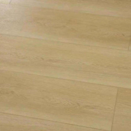 Sahara Gloss