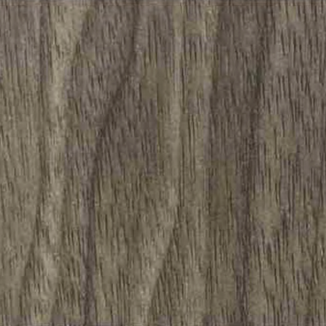 Misty Oak