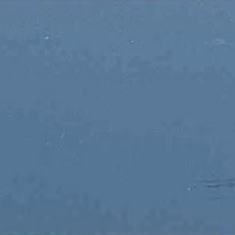 Arctic Frost